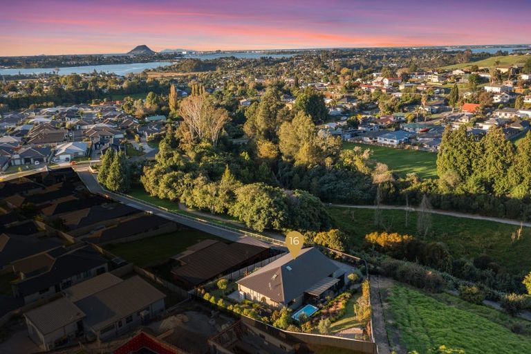 Photo of property in 16 Mearns Way, Ohauiti, Tauranga, 3112
