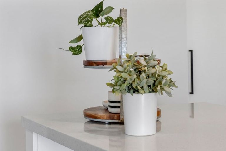 Photo of property in 320 Pokuru Road, Pokuru, Te Awamutu, 3875