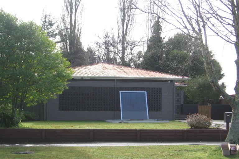 Photo of property in 113 Fitzroy Avenue, Fitzroy, Hamilton, 3206