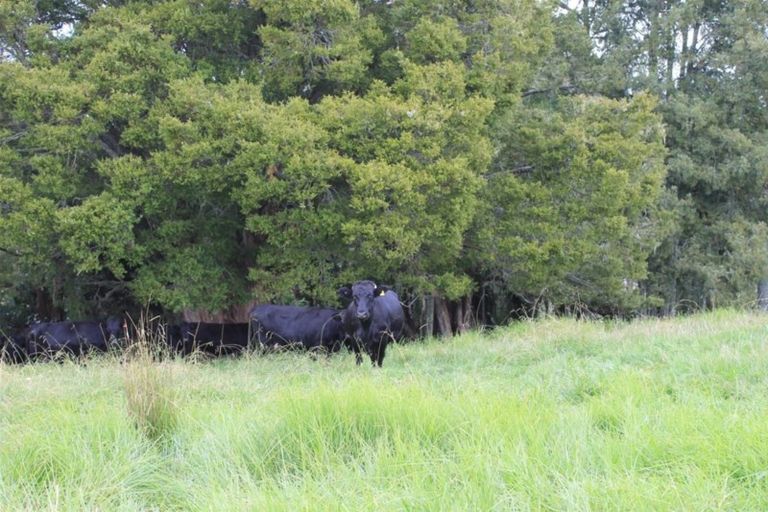 Photo of property in 16 Matai Drive, Maungaturoto, 0520