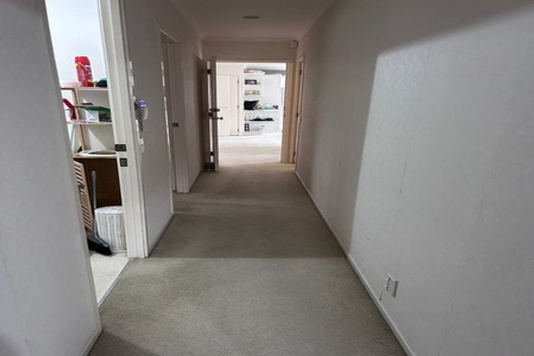 Photo of property in 53 Palmcrest Grove, Highland Park, Auckland, 2010