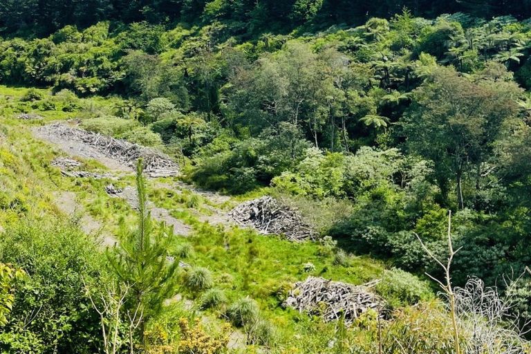 Photo of property in 308 Brown Road, Te Puke, 3188