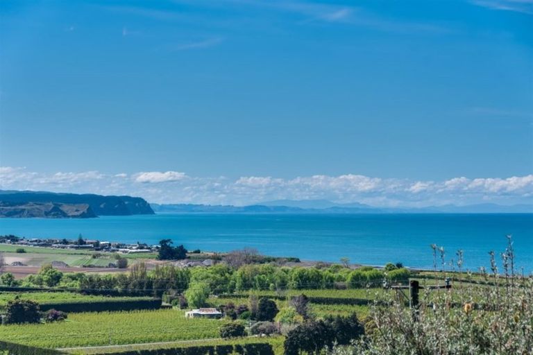 Photo of property in 787 Main North Road, Bay View, Napier, 4182