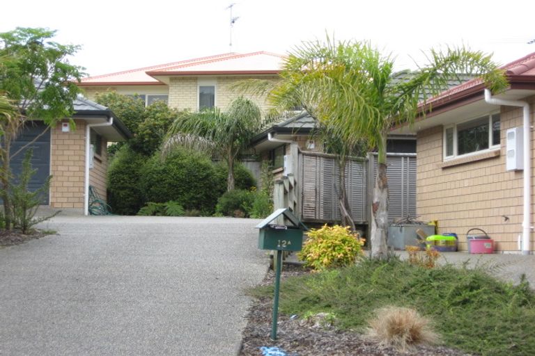 Photo of property in 12a Max Short Drive, Pukekohe, 2120