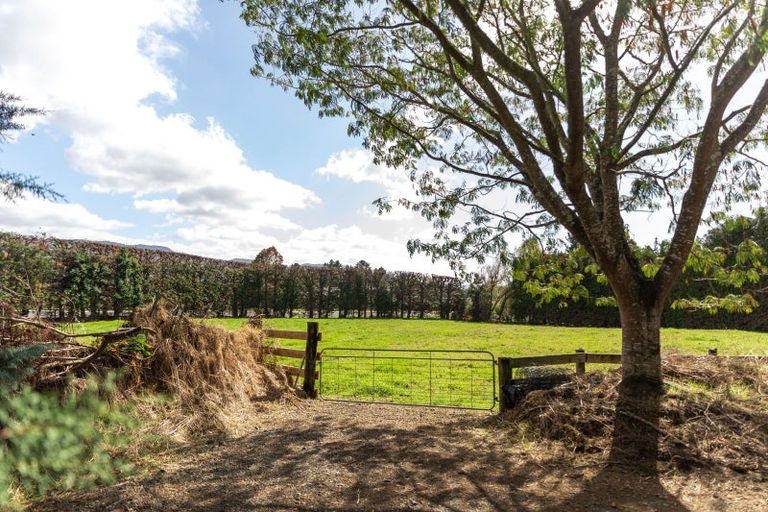 Photo of property in 50 Tetley Road, Tahawai, Katikati, 3178