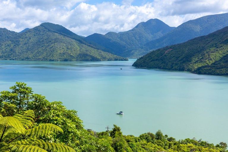 Photo of property in 47 Korimako Rise, Havelock, Picton, 7281