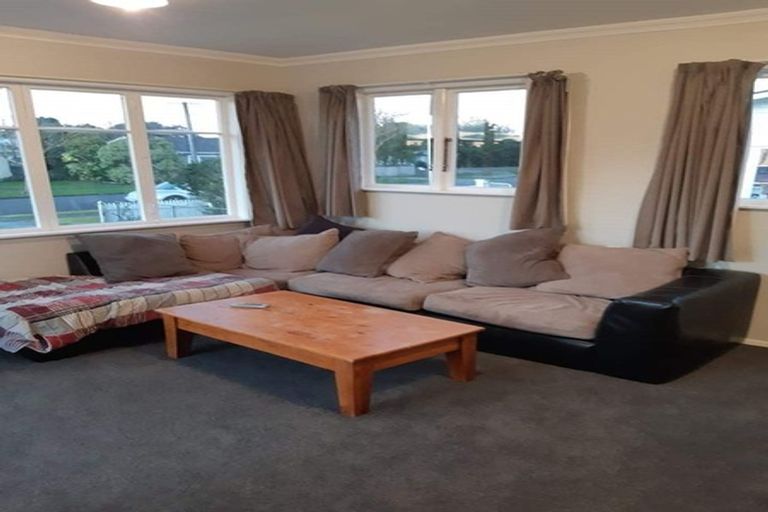 Photo of property in 25 Dudley Street, Levin, 5510