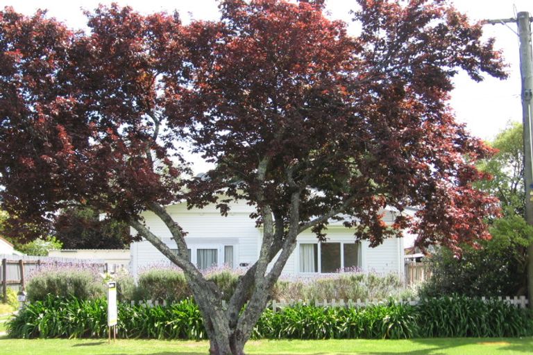 Photo of property in 18 Buchanan Street, Mangapapa, Gisborne, 4010