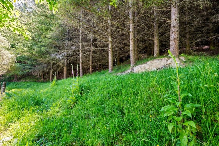 Photo of property in 1005 Onamalutu Road, Onamalutu, Wairau Valley, 7275