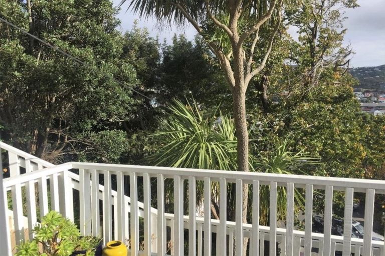 Photo of property in 13 Balmoral Terrace, Newtown, Wellington, 6021