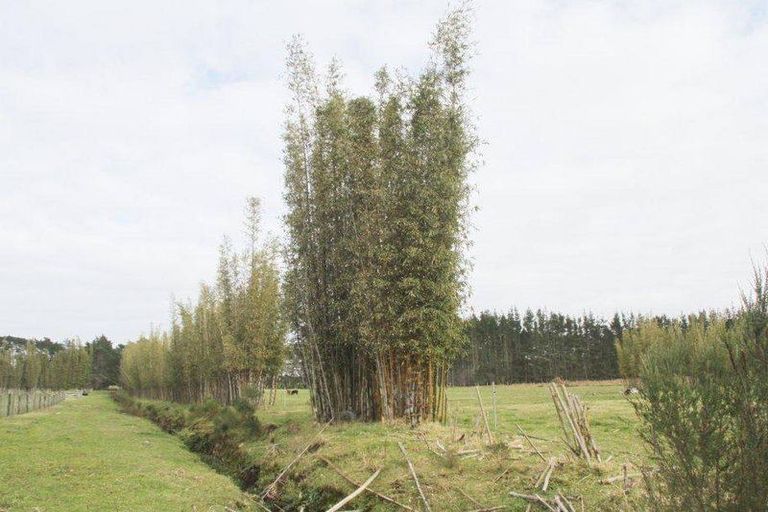 Photo of property in 90a Trig Road, Houhora, Kaitaia, 0484