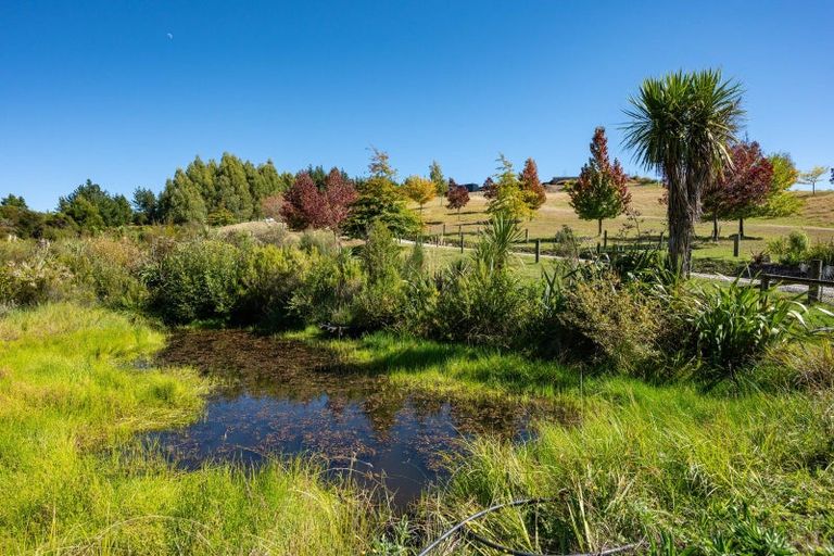 Photo of property in 154 Williams Road, Tasman, Upper Moutere, 7173