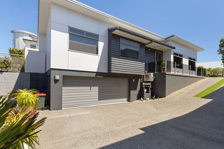 Photo of property in 14 Buller Street, New Plymouth, 4310