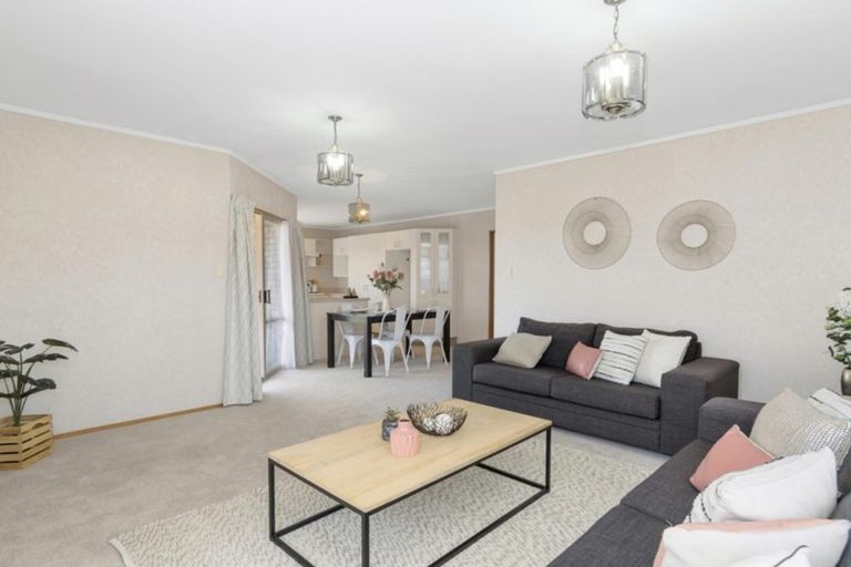 Photo of property in 8a Hinerua Street, Maungatapu, Tauranga, 3112