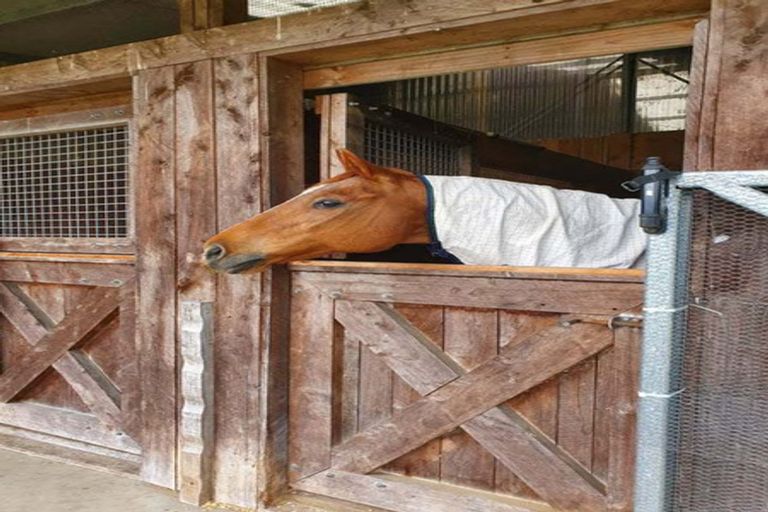 Photo of property in 568 Te Ngae Road, Owhata, Rotorua, 3010