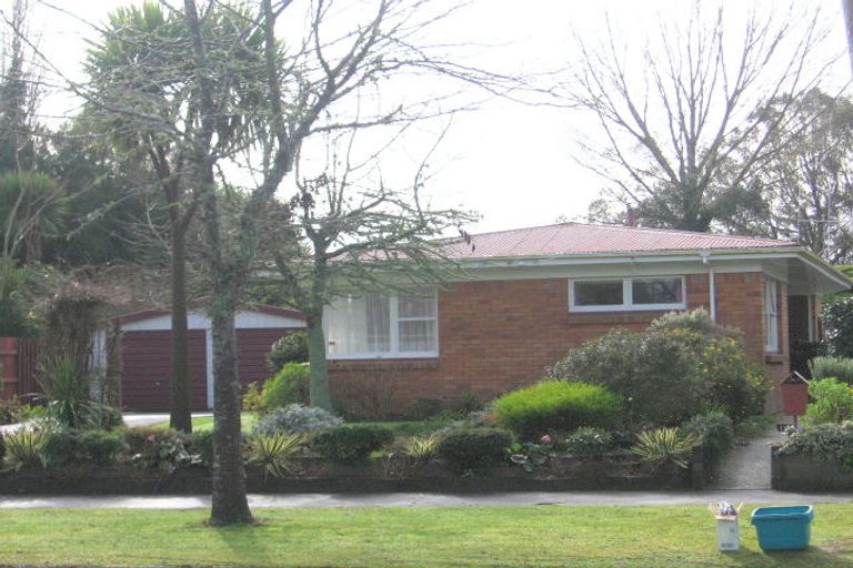 Photo of property in 115 Fitzroy Avenue, Fitzroy, Hamilton, 3206