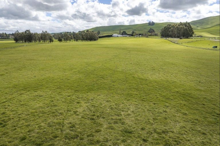 Photo of property in 1020 Te Aute Trust Road, Poukawa, Hastings, 4178
