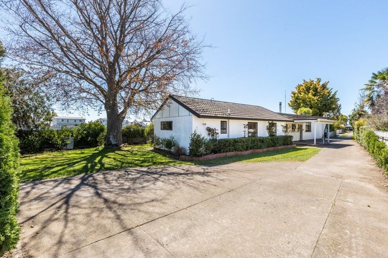 Photo of property in 810 Williams Street, Mahora, Hastings, 4120