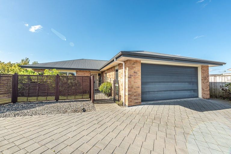Photo of property in 22 Sherwood Place, Springvale, Whanganui, 4501