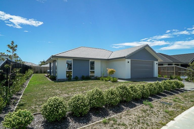 Photo of property in 46 Borck Avenue, Appleby, Richmond, 7020