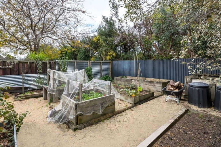 Photo of property in 37 Taverner Street, Carterton, 5713