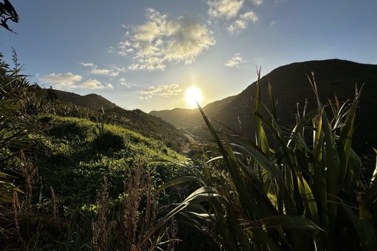 Photo of property in 1 Rope Crescent, Te Kopuru, Dargaville, 0371