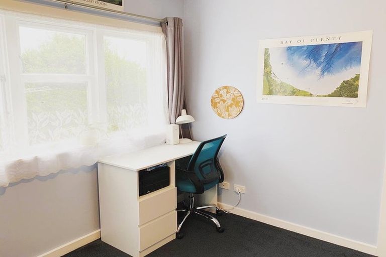 Photo of property in 117 Rakau Road, Hataitai, Wellington, 6021