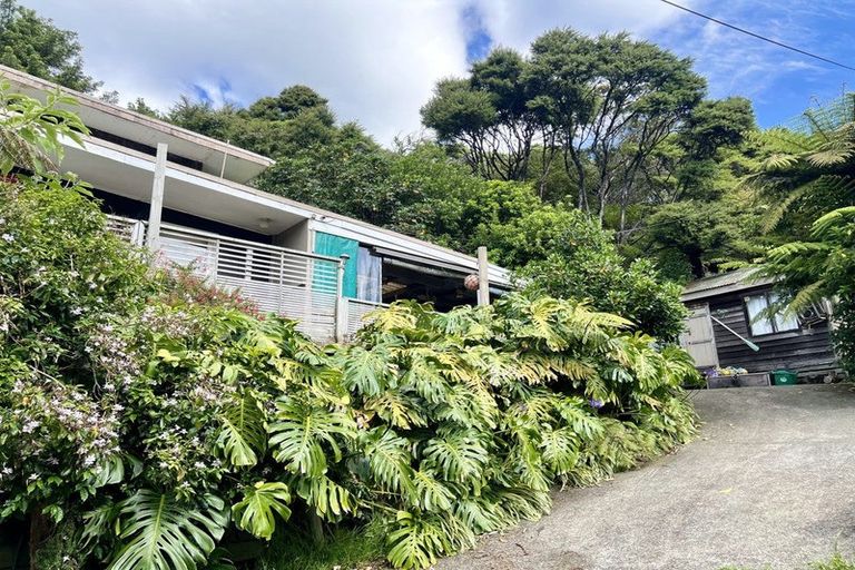Photo of property in 24 Adlor Hill Road, Port Charles, Coromandel, 3584