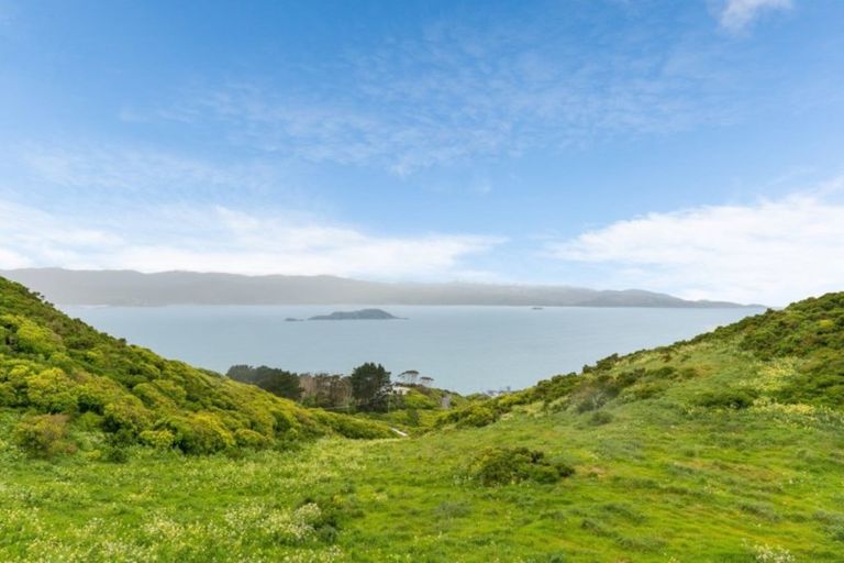 Photo of property in 23 Edgecombe Street, Newlands, Wellington, 6037