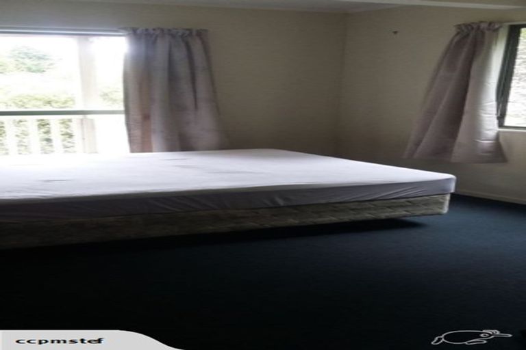 Photo of property in 63 Opoho Road, North East Valley, Dunedin, 9010