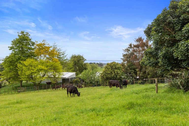 Photo of property in 690 Esdaile Road, Whakamarama, Tauranga, 3180