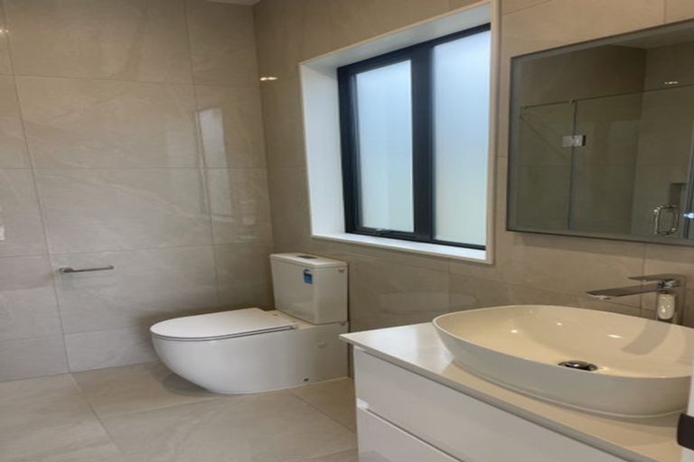 Photo of property in 219a Murphys Road, Flat Bush, Auckland, 2019