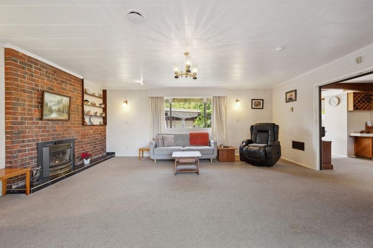 Photo of property in 45 Leefield Street, Blenheim, 7201