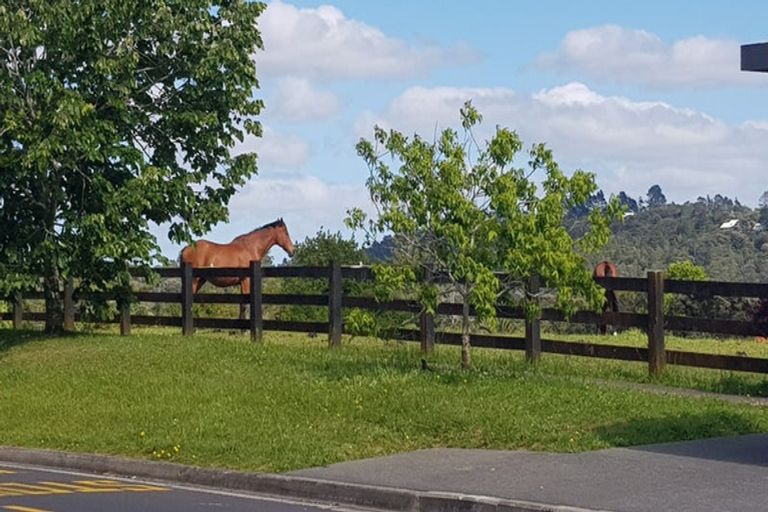 Photo of property in 11/3 Orwell Road, Greenhithe, Auckland, 0632