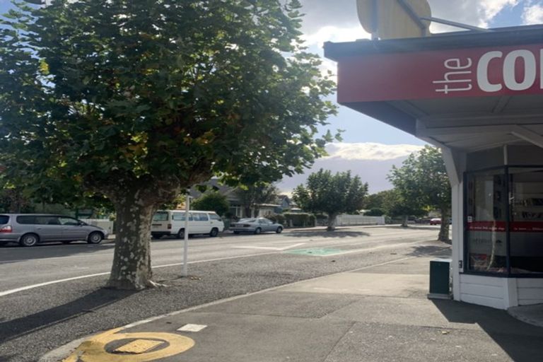 Photo of property in 45 Nelson Crescent, Napier South, Napier, 4110