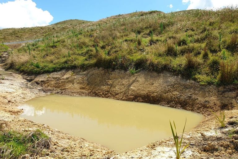 Photo of property in 610 Bickerstaffe Road, Maungaturoto, 0587