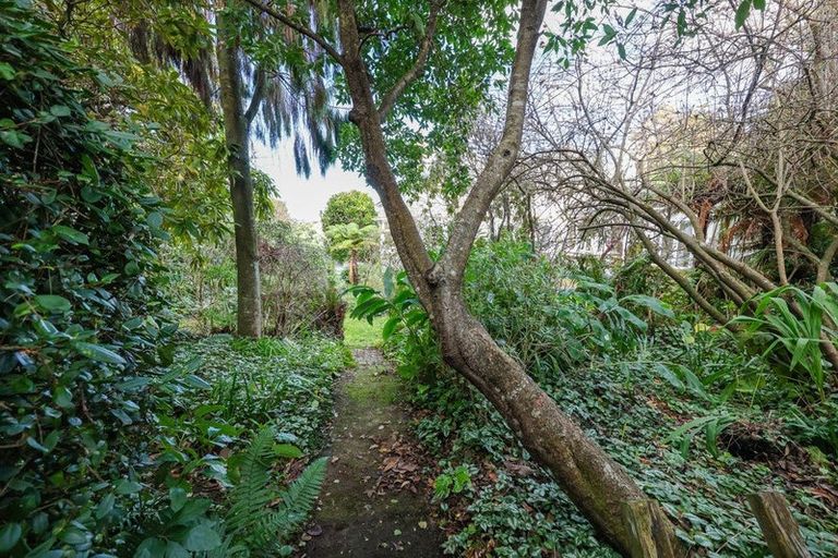 Photo of property in 20 Melrose Street, Roslyn, Dunedin, 9010