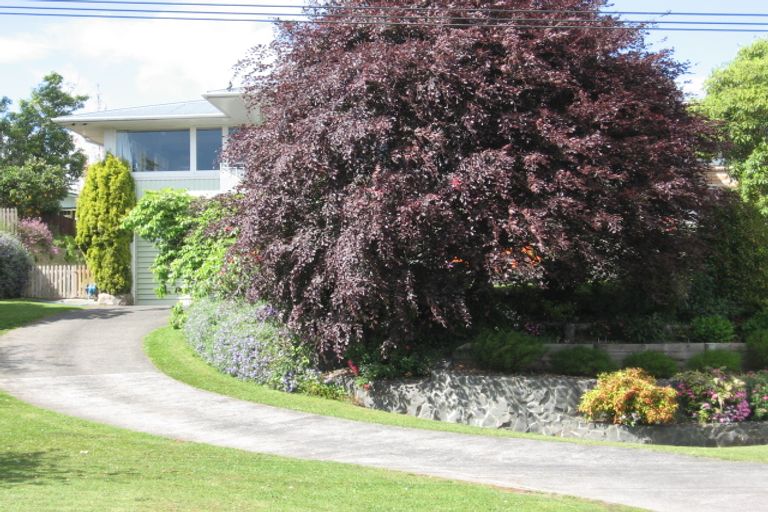 Photo of property in 38 Byron Street, Leamington, Cambridge, 3432