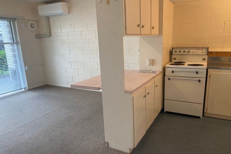 Photo of property in 9 Esplanade Road, Mount Eden, Auckland, 1024