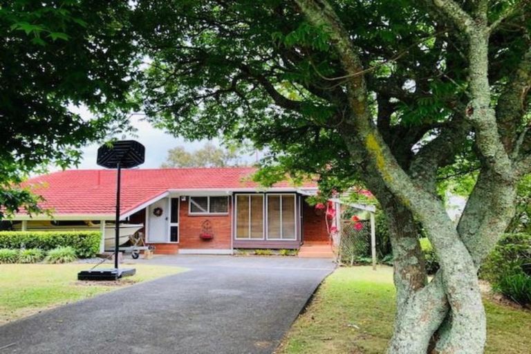 Photo of property in 117 Stredwick Drive, Torbay, Auckland, 0630