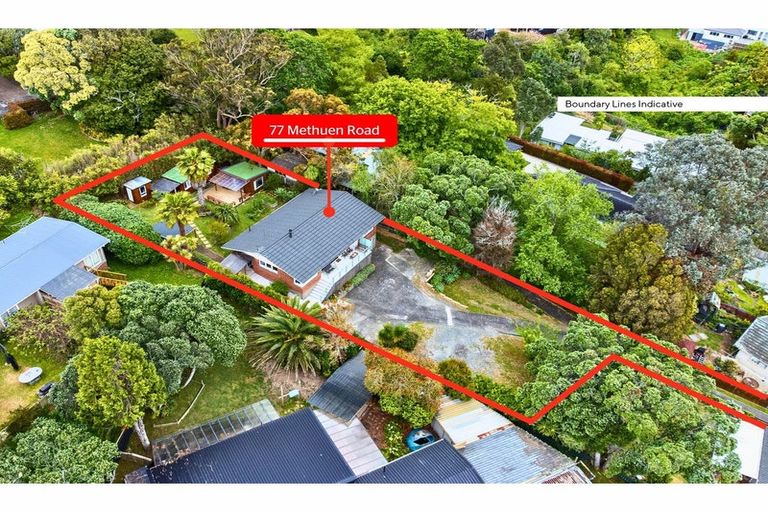 Photo of property in 77 Methuen Road, New Windsor, Auckland, 0600