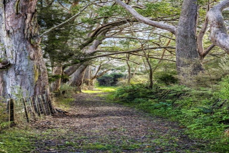 Photo of property in 148 Waitakere Road, Waitakere, Auckland, 0782