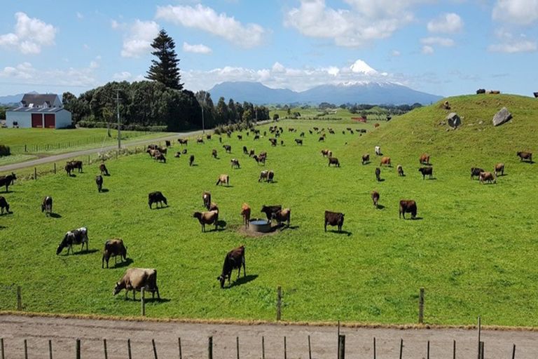 Photo of property in 396 Cape Road, Pungarehu, Opunake, 4685