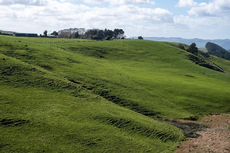 Photo of property in 697 Maungatawhiri Road, Raglan, 3295