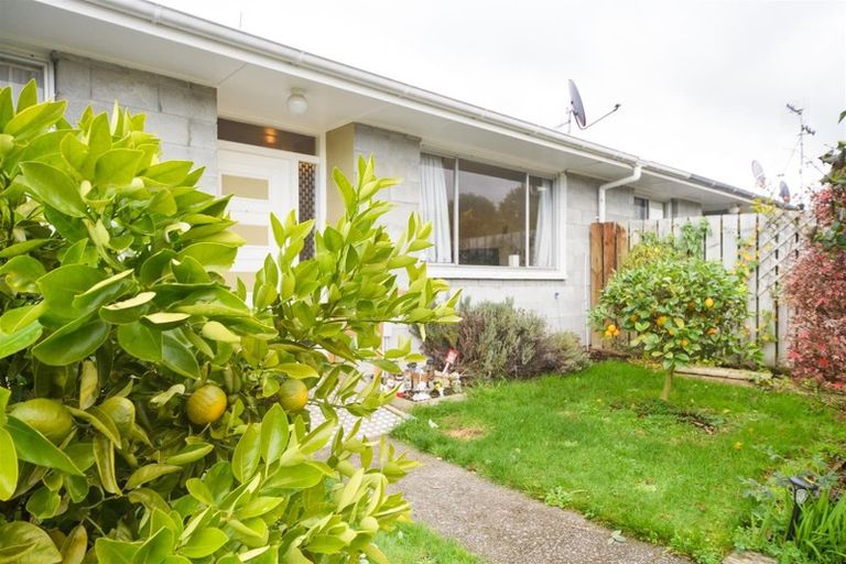 Photo of property in 1/24 Blackwell Street, Marton, 4710