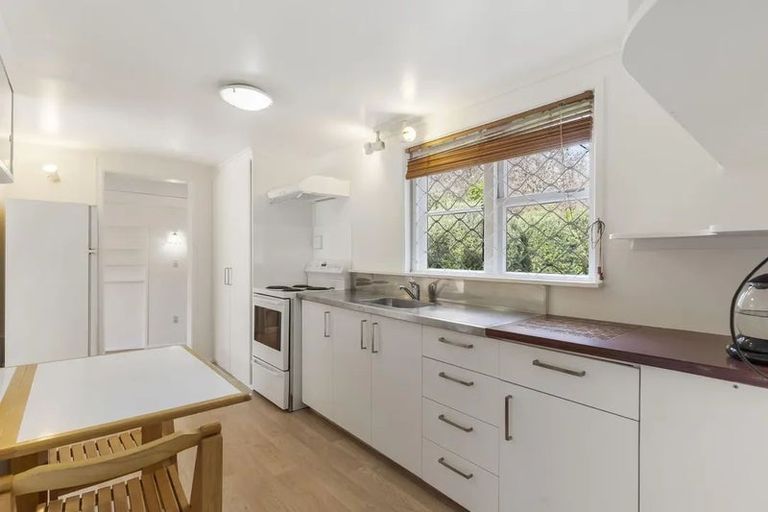 Photo of property in 22 Larsen Road, Panmure, Auckland, 1072