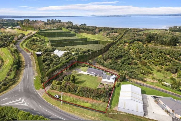 Photo of property in 274 Kauri Point Road, Tahawai, Katikati, 3170