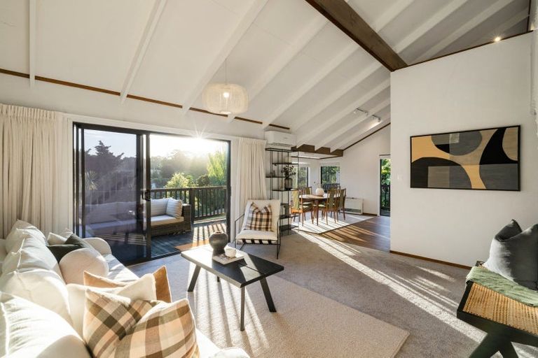 Photo of property in 1b Sillary Street, Hamilton East, Hamilton, 3216