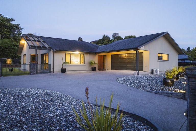 Photo of property in 41 Roto Street, Hurdon, New Plymouth, 4310