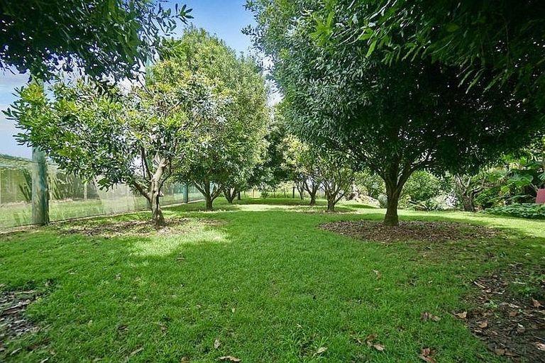 Photo of property in 3 Donelle Place, Te Puke, 3119